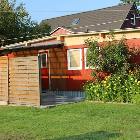 Ferienwohnung Bungalow Palliwoda Prerow Exterior photo