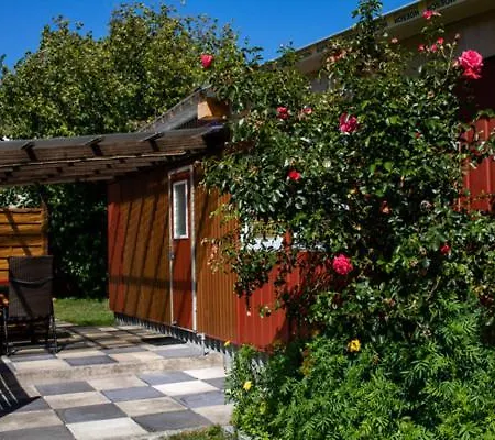 Ferienwohnung Bungalow Palliwoda Prerow Exterior photo